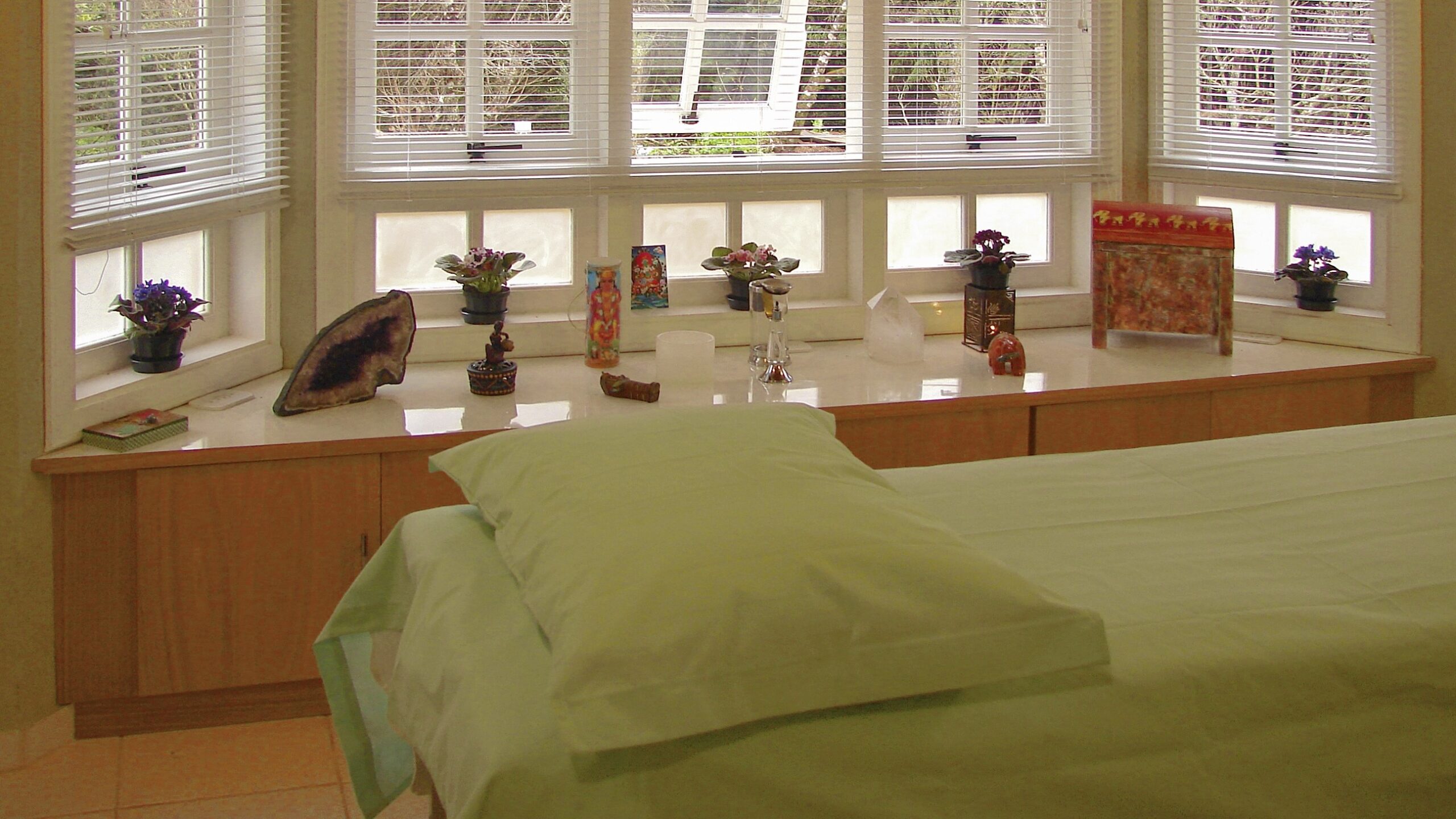 Pós Módulo 3 – Terapias Naturais – PICS